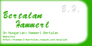 bertalan hammerl business card
